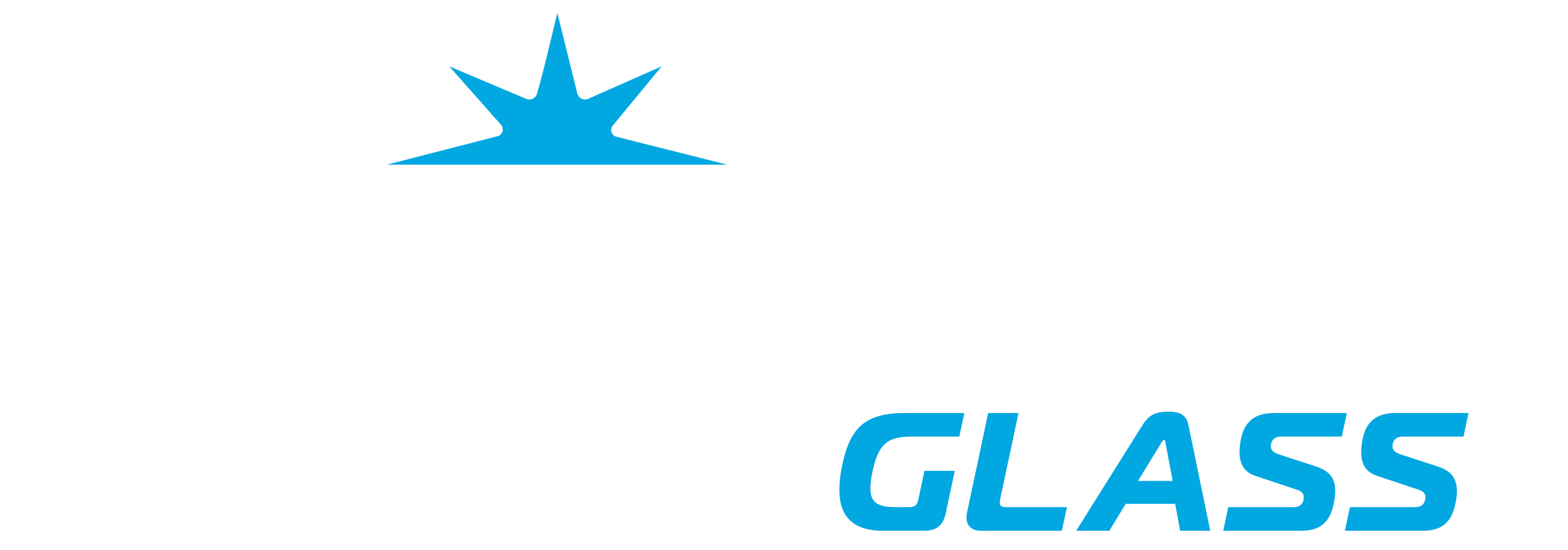 CVG_rev_col_Lrg